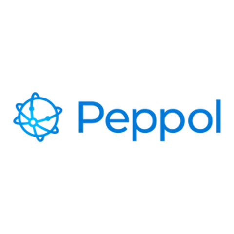 media/docs/peppol.webp?width=480&height=480&rmode=PAD